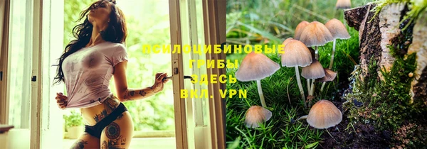 эйфоретик Вязьма