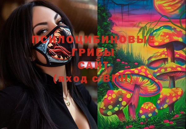 эйфоретик Вязьма